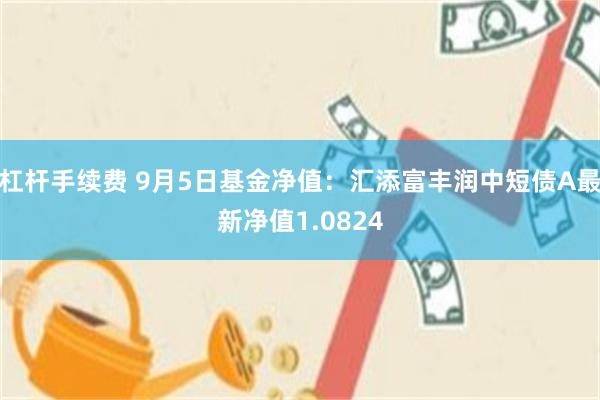 杠杆手续费 9月5日基金净值：汇添富丰润中短债A最新净值1.0824