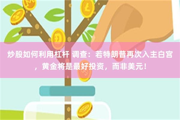 炒股如何利用杠杆 调查：若特朗普再次入主白宫，黄金将是最好投资，而非美元！