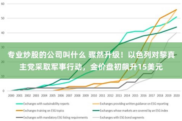 专业炒股的公司叫什么 骤然升级！以色列对黎真主党采取军事行动，金价盘初飙升15美元