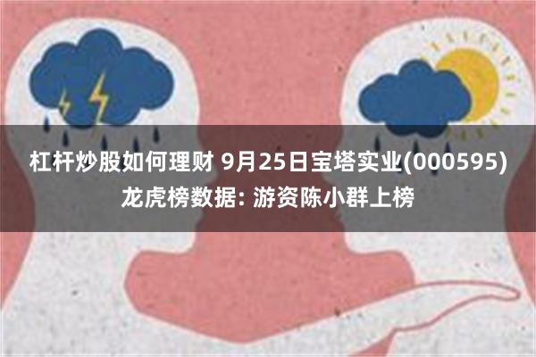 杠杆炒股如何理财 9月25日宝塔实业(000595)龙虎榜数据: 游资陈小群上榜