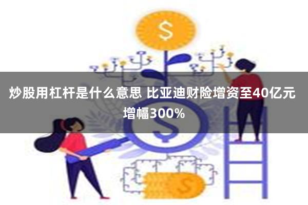 炒股用杠杆是什么意思 比亚迪财险增资至40亿元 增幅300%