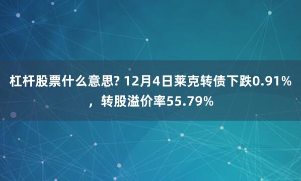 杠杆股票什么意思? 12月4日莱克转债下跌0.91%，转股溢价率55.79%