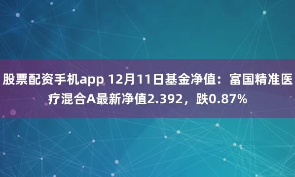 股票配资手机app 12月11日基金净值：富国精准医疗混合A最新净值2.392，跌0.87%