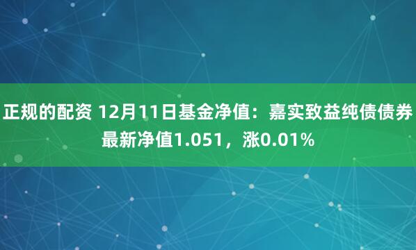 正规的配资 12月11日基金净值：嘉实致益纯债债券最新净值1.051，涨0.01%