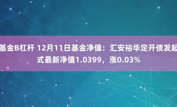 基金B杠杆 12月11日基金净值：汇安裕华定开债发起式最新净值1.0399，涨0.03%