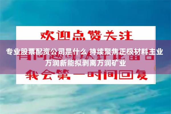 专业股票配资公司是什么 持续聚焦正极材料主业 万润新能拟剥离万润矿业