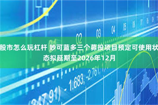 股市怎么玩杠杆 妙可蓝多三个募投项目预定可使用状态拟延期至2026年12月