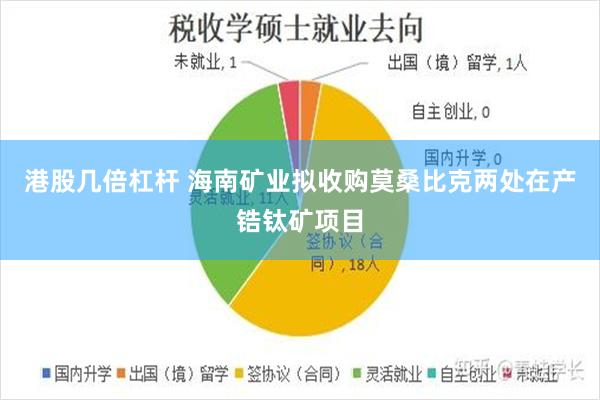 港股几倍杠杆 海南矿业拟收购莫桑比克两处在产锆钛矿项目