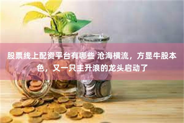 股票线上配资平台有哪些 沧海横流，方显牛股本色，又一只主升浪的龙头启动了