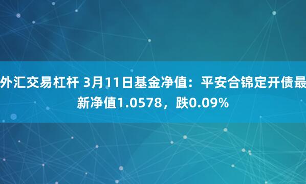 外汇交易杠杆 3月11日基金净值：平安合锦定开债最新净值1.0578，跌0.09%