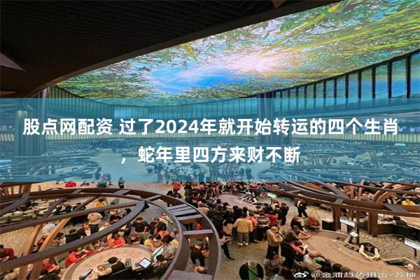 股点网配资 过了2024年就开始转运的四个生肖，蛇年里四方来财不断